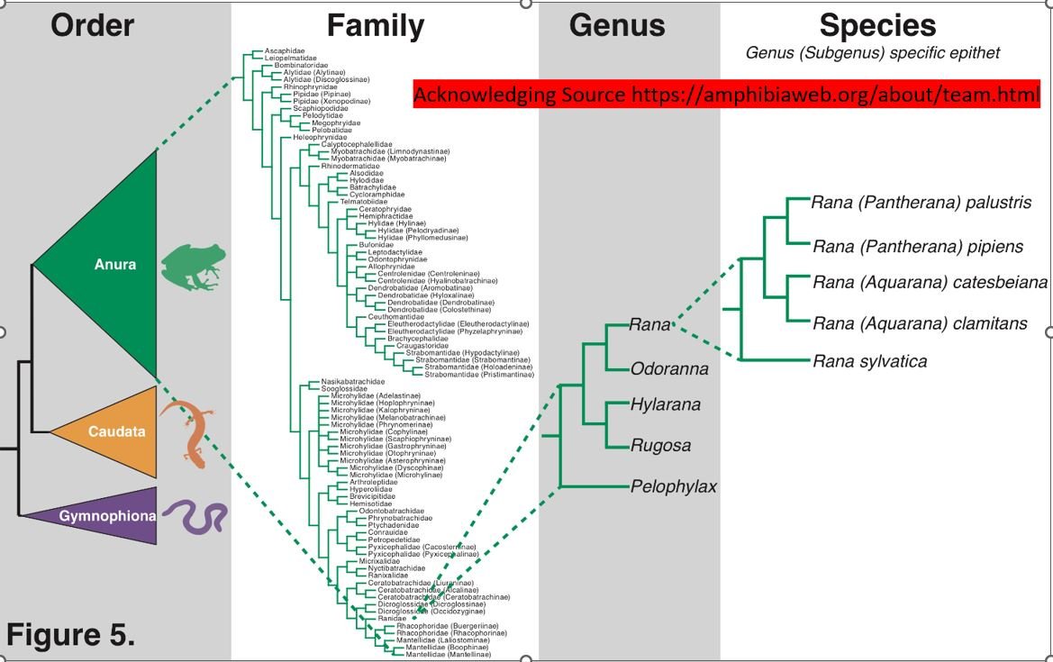 Using collapsible Taxonomies to represent/navigate ‘infinite’ domains.